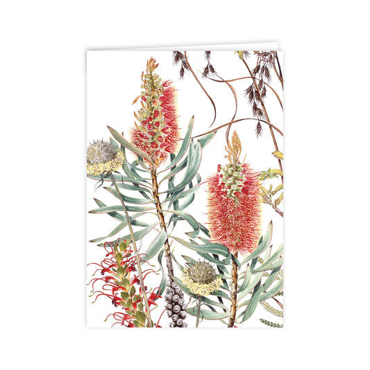 Wildflowers of the Albany Region A6 Card