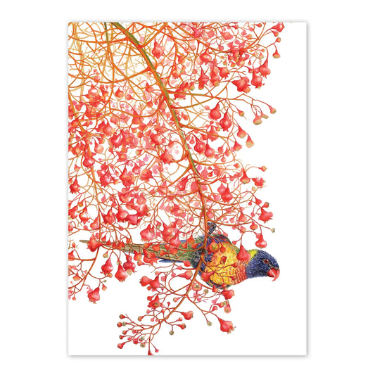 Rainbow Lorikeets A6 Card